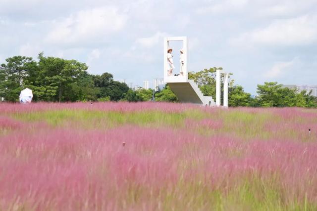 双节同庆·多趣园博丨烟花秀、青少年科普营、粉黛花海······这个假期南宁园博园包好玩！
