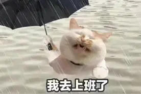 贝碧嘉、普拉桑……台风：究竟谁给我取的名？图片