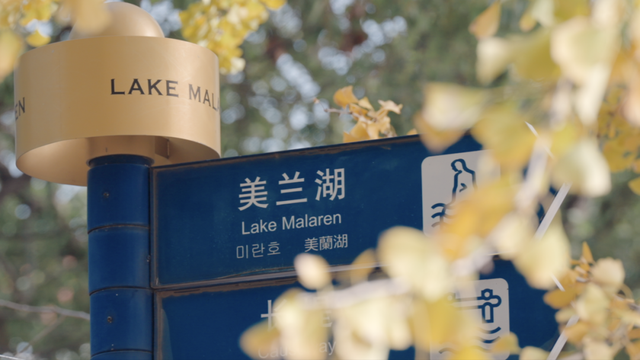 别眨眼！罗店马路秋色，一街一帧画正在限时上映