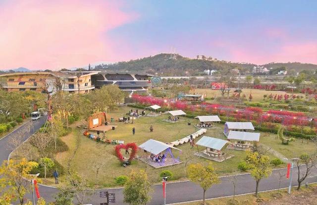 赏花撸萌宠、水果采摘、围炉煮茶……来珠海这里跨年，太精彩！