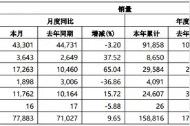长城汽车：2月汽车销量增长9.65％图片