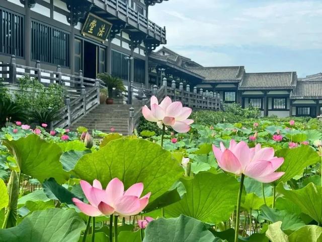 眉山⇋成都便民快巴，明起发车！快来解锁眉山宝藏打卡地→