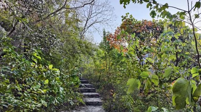 9.9元！深秋里寻一处静谧！本周六出发，打卡长清王泉摩崖石窟、义静寺！