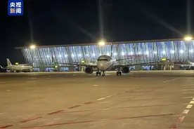 王星已回国，凌晨发声图片