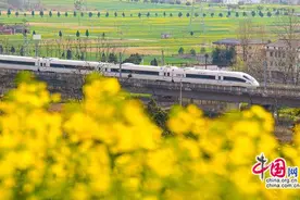 时评：铁路+文旅，高铁票变身“旅游通行证”图片