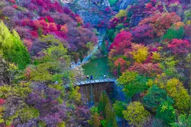 山东淄博：航拍视角，邂逅鲁中山区的绝美秋色图片