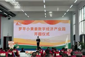 曲靖罗平小黄姜数字经济产业园盛大开园图片