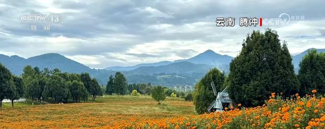 这个假期“宝藏”体质小城火出圈 县域经济彰显勃勃生机