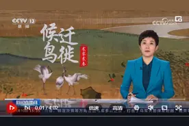 2023候鸟迁徙 云南昆明 上万只红嘴鸥飞抵昆明 人鸟和谐生态美图片