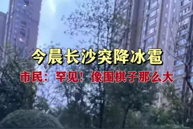今晨长沙突降冰雹，市民：罕见！像围棋子那么大图片