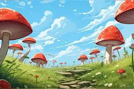 餐桌上的历史 | 蘑菇为什么叫“蘑菇”图片