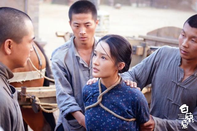 百万国人力荐，百读不厌，此生必读