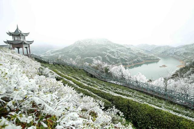 这个冬天，到贵州赴一场色彩之约