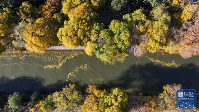 秋声渐杳 斑斓成诗