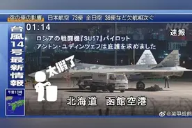 网传俄传奇试飞员驾驶苏-57降落日本寻求庇护？假的！图片