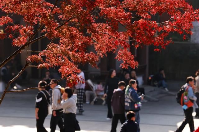 “CHUA”的一下，65%！