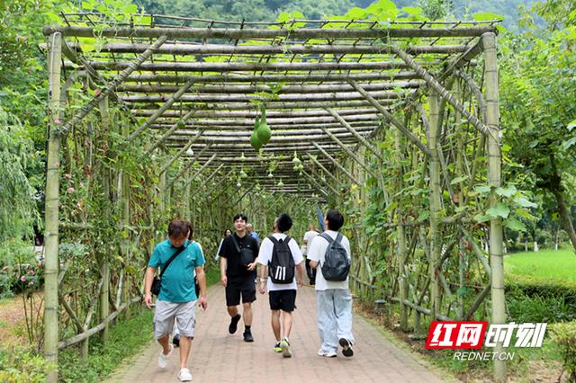张家界黄龙洞：农旅融合生态美 田园风光引客来（组图）