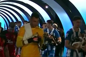 有爱！西班牙人球员本轮联赛带着狗狗出场，为流浪狗寻找新家图片