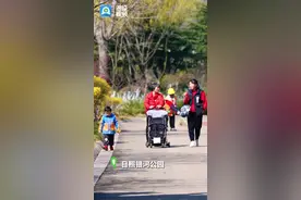 公园20分钟效应，遇上春天，游园畅享好时光图片