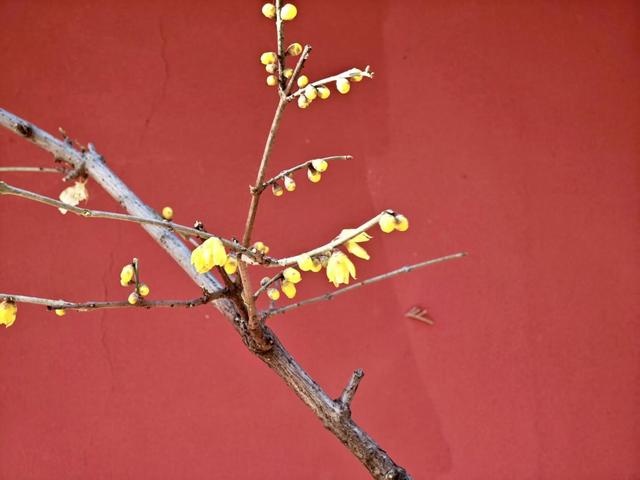 北京日报社区小板报 | 部分电动自行车门店无车可售