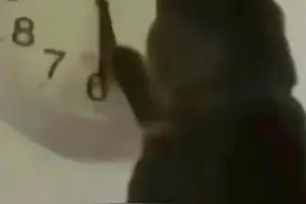 大晚上的看饿了！这才是“中华第一汤”……图片