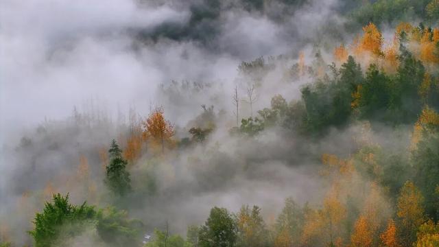 酉阳初冬美景合集：邂逅山间调色盘，每一帧都是壁纸！