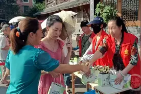 30万亩荔枝成熟分外“甜”  合江邀重庆“邻居”品尝“甜蜜果实”图片