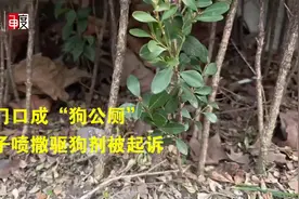 家门口成小区“狗公厕”，女子喷撒驱狗剂被养狗人起诉图片