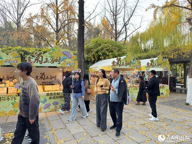 泉映菊韵正当时