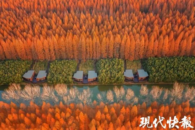 127场活动、超1.5万免费车位……盐城发布“双节”文旅大礼包