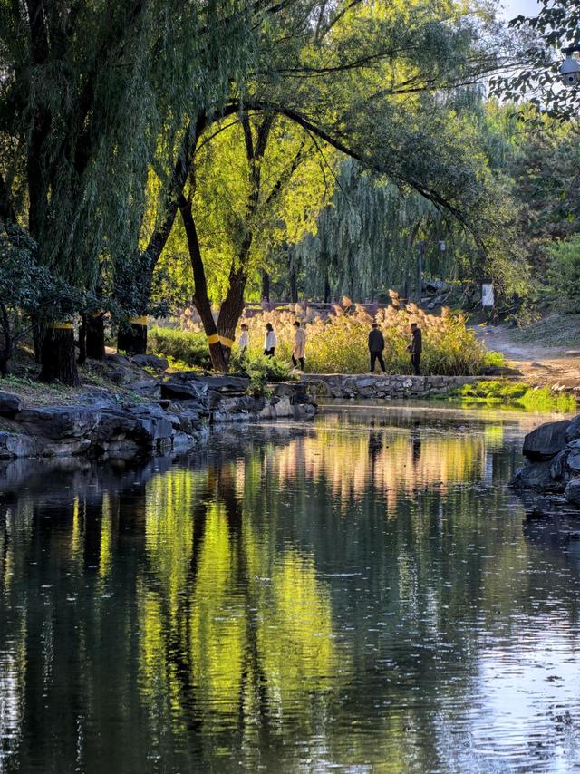 秋光曼妙！圆明园秋日胜春朝