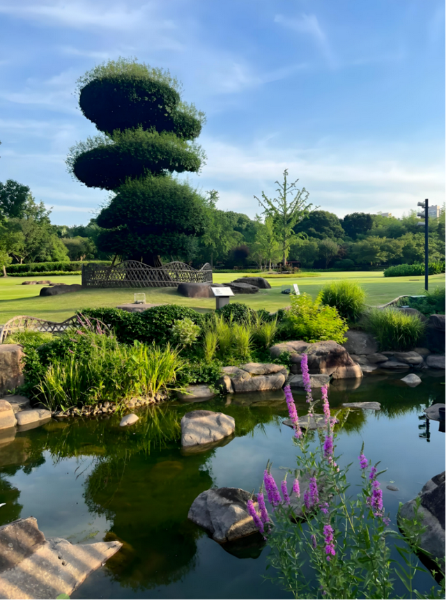 上海市中心又一公园拆除围墙！内藏明城墙和宝藏机位！怎么还有个“灶披间”？