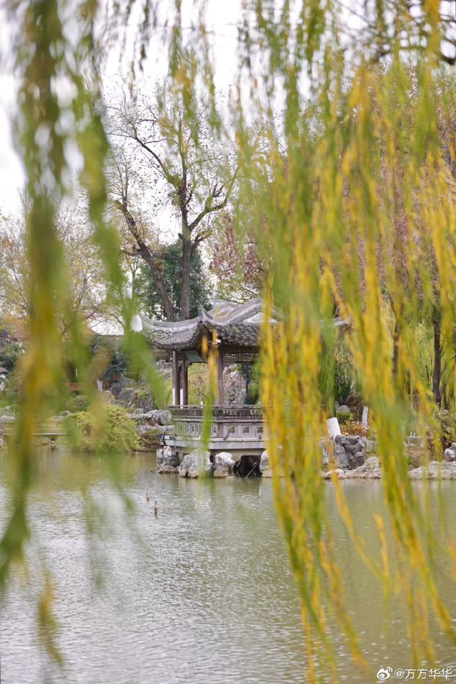 这个元旦假期，把时光“浪费”在秦淮最美的园子里~