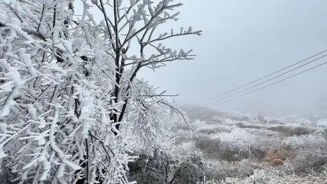 桂林全州变身冰雪童话世界，美不胜收→
