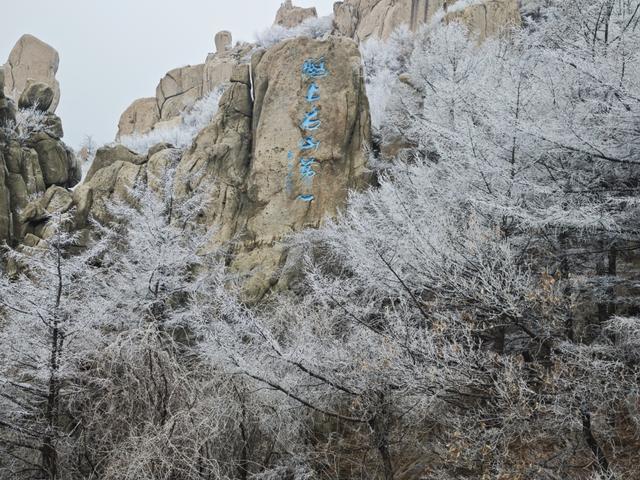 雾凇缀崂山
