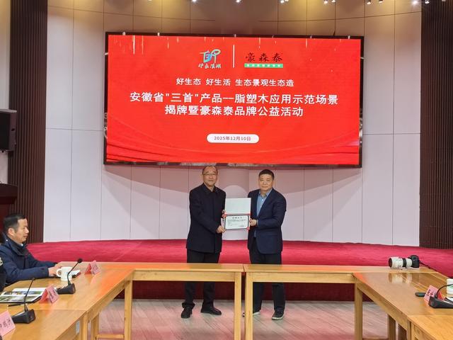 合肥滨湖国家森林公园马家渡观景平台换上高科技“新装”