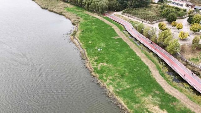 低空经济赋能城市政务巡检，沈北新区打造智慧管理新范式
