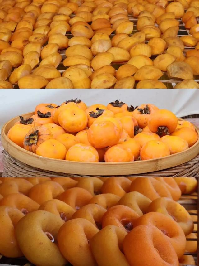 桂林恭城|红岩村柿子红成甜海啦