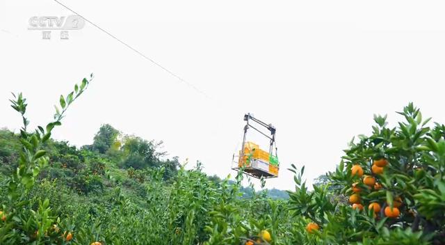 央视财经|《欢乐大猜想》带您打卡常德石门