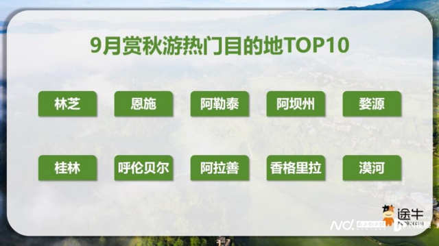 暑期文旅市场观察：赛事引流、小城崛起 旅游市场活力多元