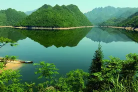 每亩额外奖励4元，广东创新实施公益林激励补偿机制图片