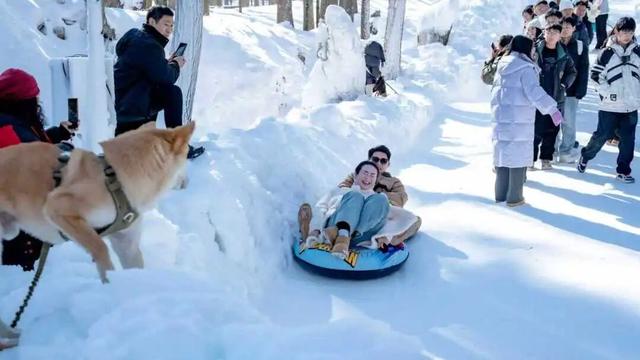 这个冬天，别再“猫冬”啦！300米超长滑道，来这开启嬉冰赏景的雪上之旅