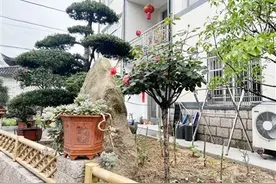 温州乐清：闲置地变“菜园”　村民共建花园乡村图片