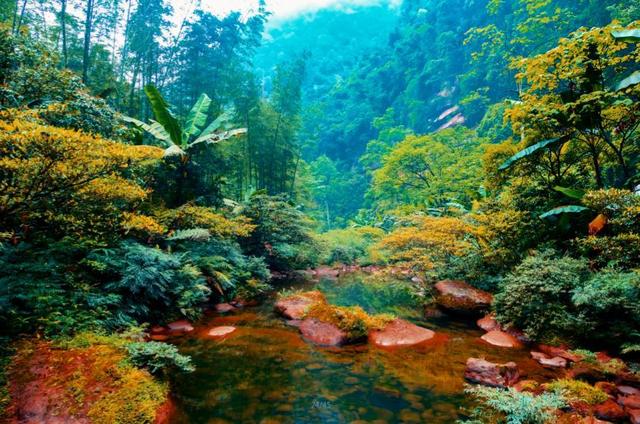 秋游贵州  开启一场康养之旅