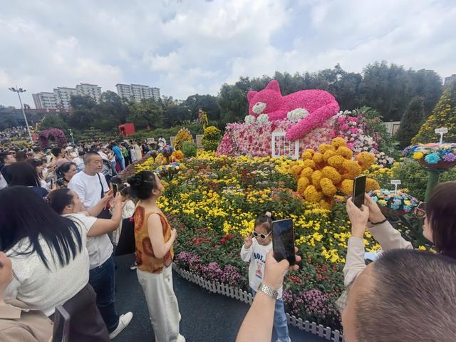 哈尔滨：菊花展人山人海 市民先睹为快