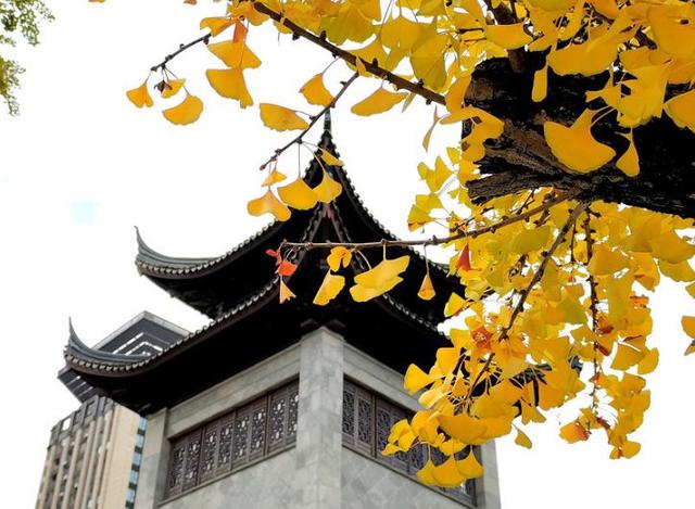 弥勒这个老牌公园上央视啦！好多人的记忆→