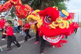 传承三百年！江门蓬江棠下镇举行天后庙会巡游活动视频封面
