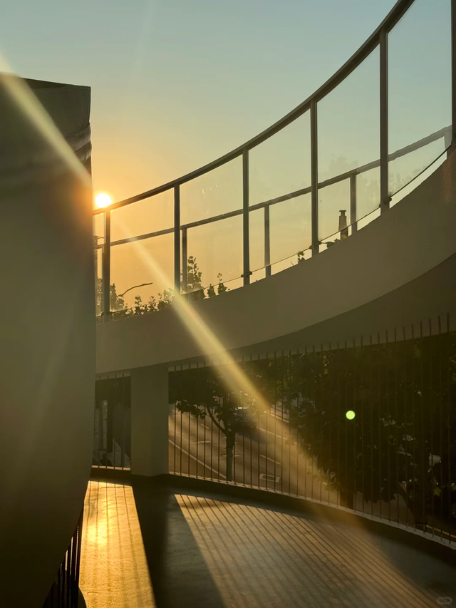 红叶+落日！深秋限定！用一下午时间感受河畔最美秋色