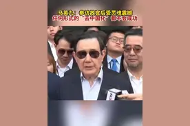 马英九：参访故宫后受灵魂震撼，任何形式的“去中国化”都不会成功。图片