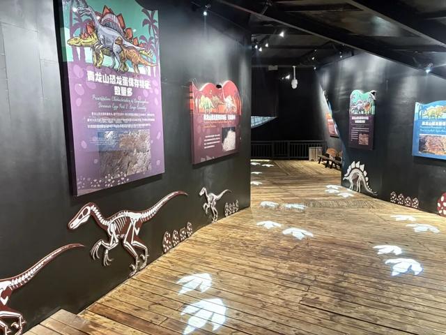 从化石标本到文旅名片，地质遗产活化的“郧阳答案”